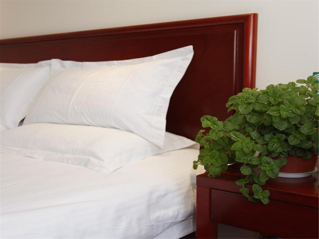 Greentree Inn Shanghai Dongming Road Subway Station Express Hotel Exterior foto